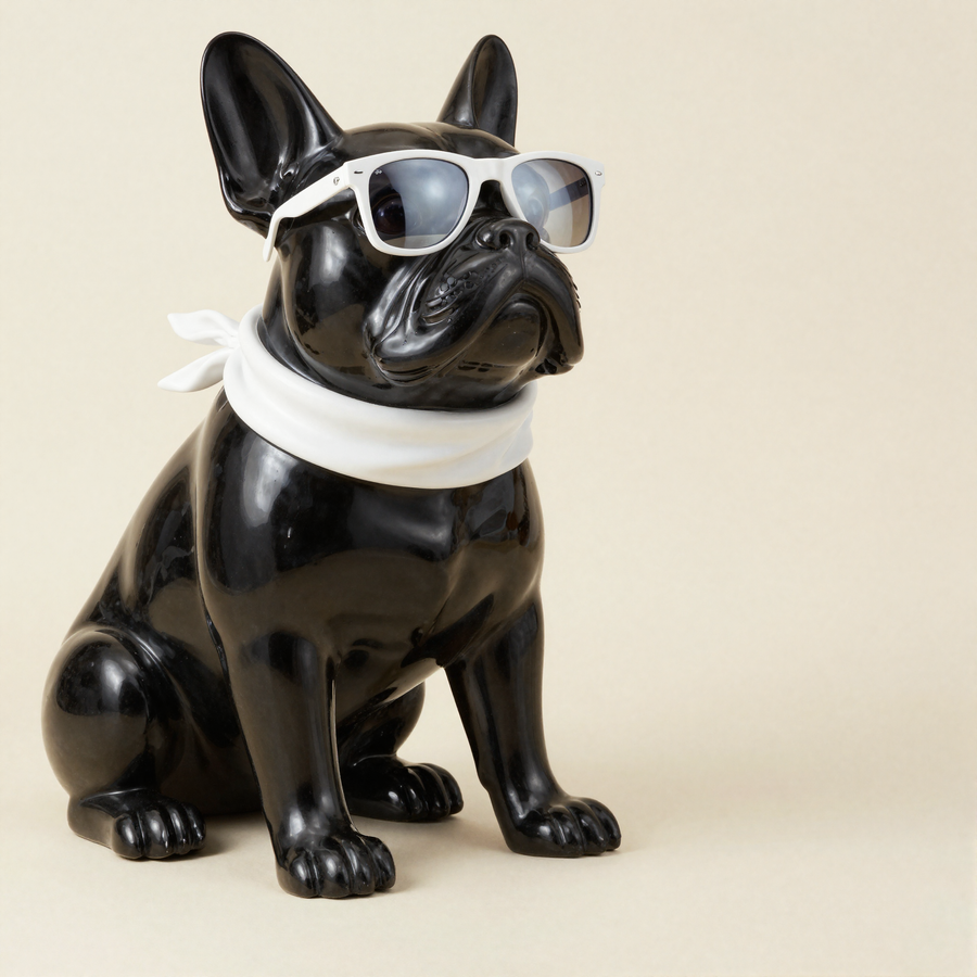 Bulldogge Midnight von Lazy Days, glaenzend schwarz mit weissem Schal und Sonnenbrille
